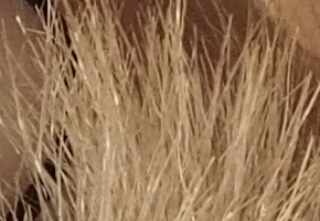 Olympus OM-D E-M5: elegantní fotokladivo