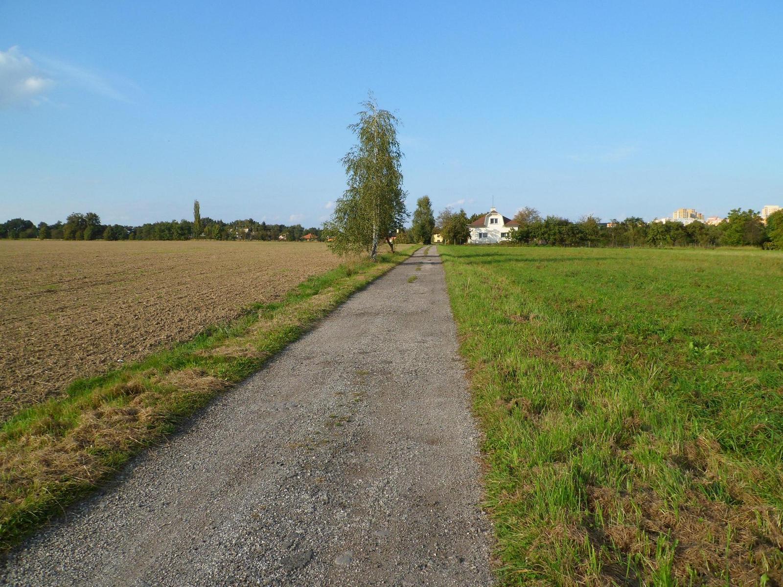 Samsung PL210: levně s grácií