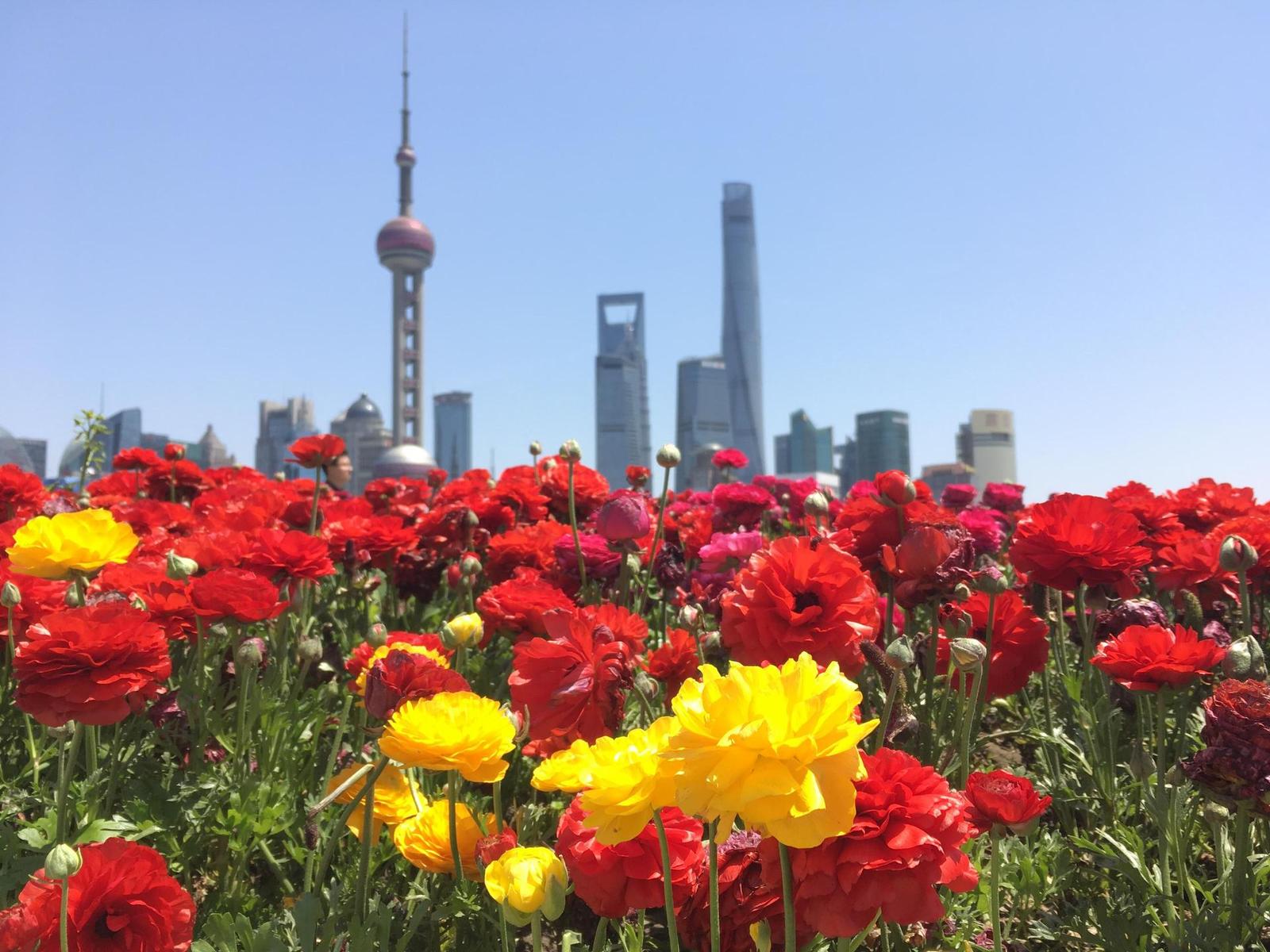 Apple iPhone SE: kompaktní silák