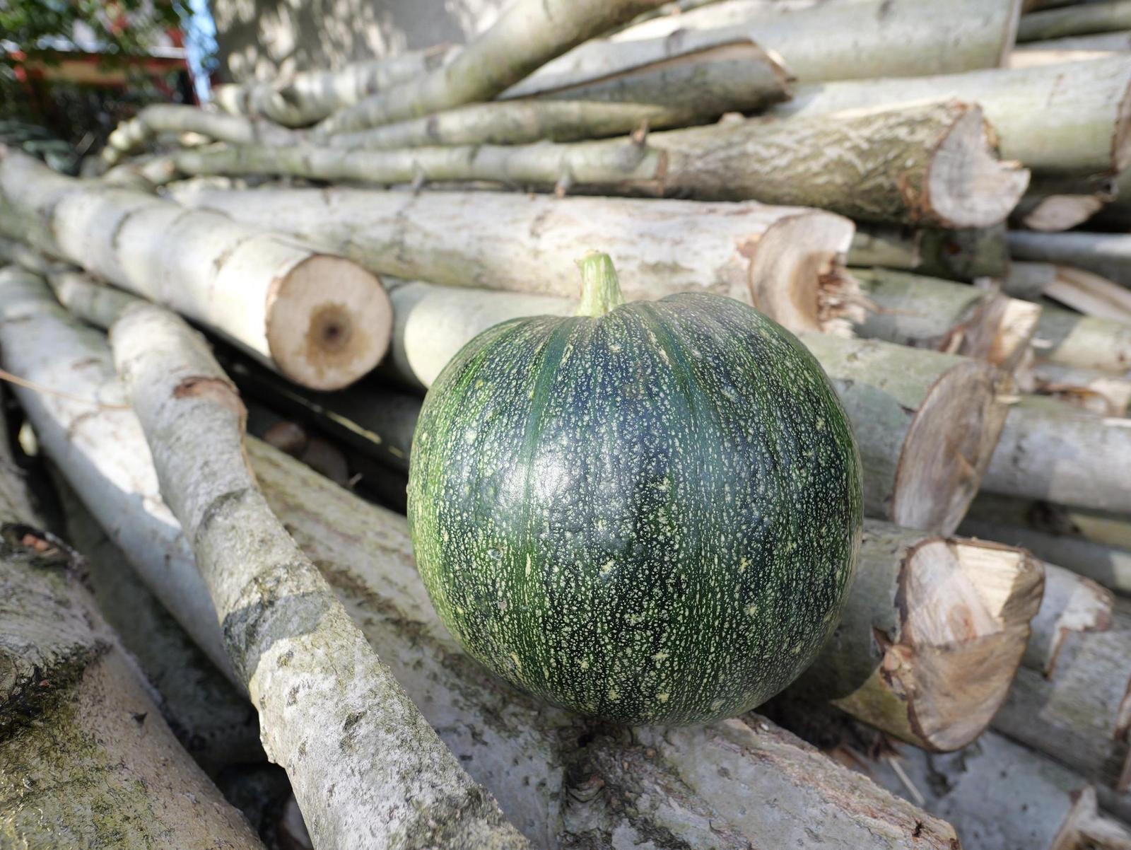 Panasonic Leica Summilux DG 9mm f/1.7 ASPH.