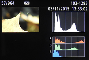Canon PowerShot G3 X: spousta zoomu v malém těle