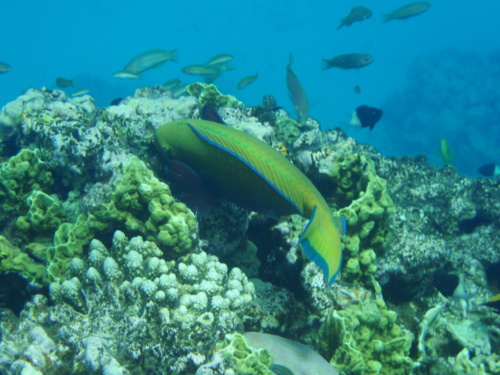 Modrý vesmír - tipy pro fotografování