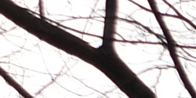 Fujifilm X-S1: jedinečný