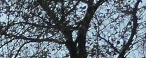 Panasonic Lumix TZ200: kamarád na cesty