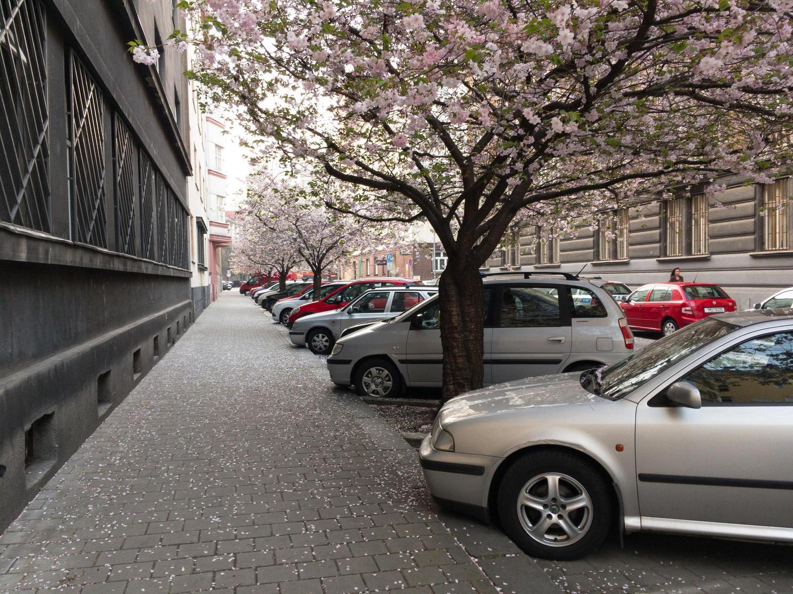 Apple iPhone SE: kompaktní silák