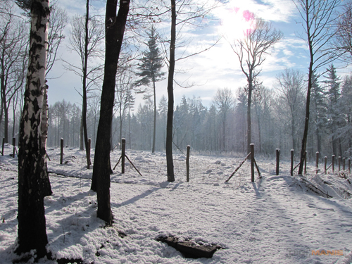 Canon PowerShot SX1 IS vs. SX10 IS: souboj CMOS a CCD