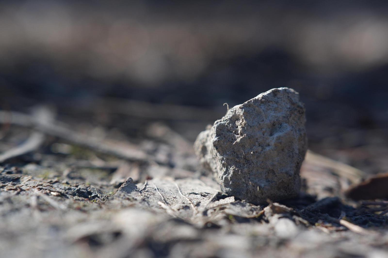 Fujinon XF 35mm F2 R WR