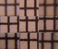 Olympus M.Zuiko Digital 14-150 mm F4-5,6