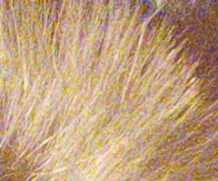 Samsung EX1: příjemné překvapení