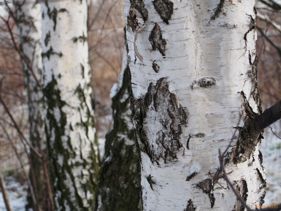 Olympus PEN E-PL5: s výkonnějším srdcem