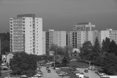 Canon EOS 550D: třídní premiant