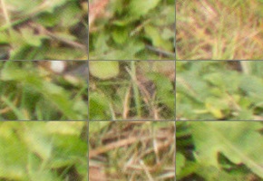 Panasonic Lumix FZ300: opět na špici