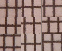 Panasonic Lumix TZ10: kapesní dělo