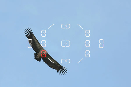 DSLR na cestě časem - 6. díl