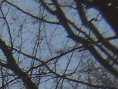 Samsung ST1000: nabitý technologiemi