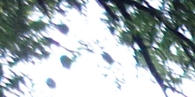 Sony Cyber-shot RX100: terminátor zrcadlovek