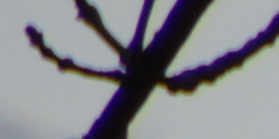 Sony SAL-18250 (DT 18-250mm F3,5-6,3)