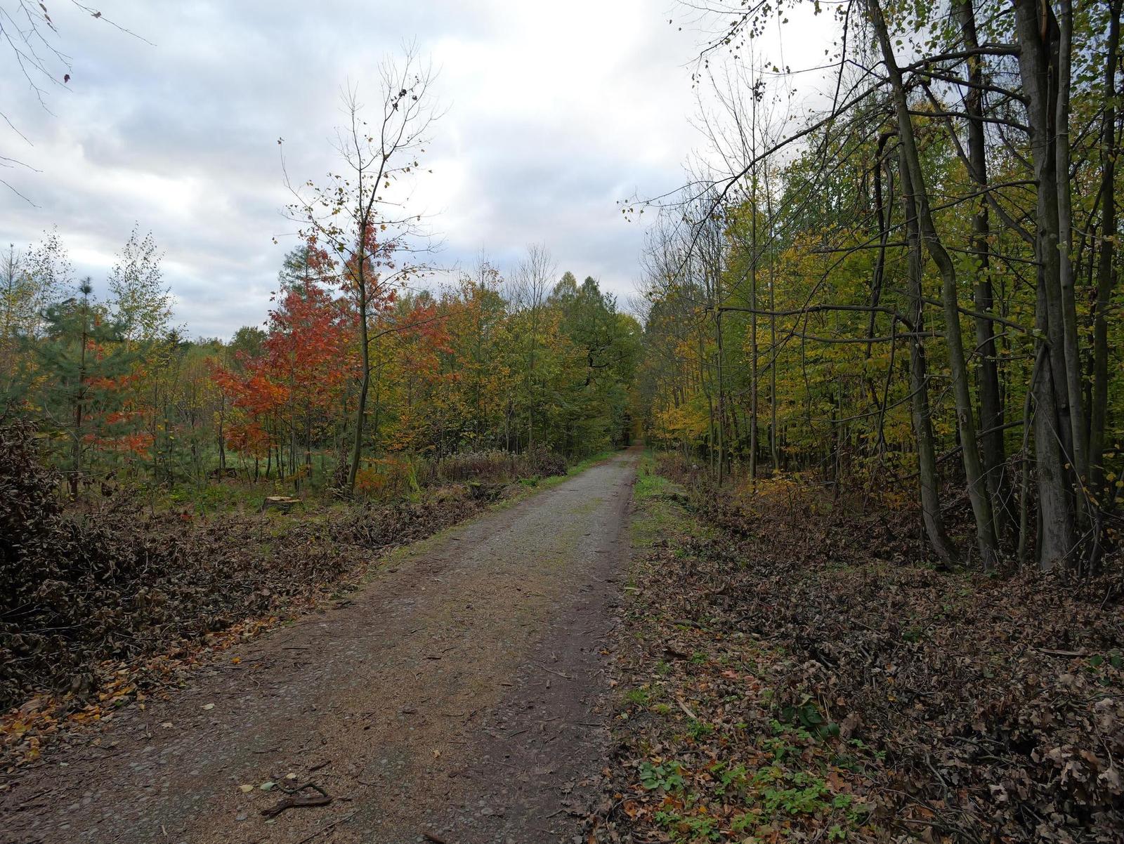 Panasonic Leica Summilux DG 9mm f/1.7 ASPH.