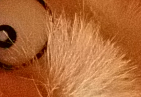 BenQ GH600 a GH700: levné překvapení