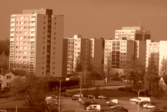 Nikon Coolpix L100: lovec hmyzu