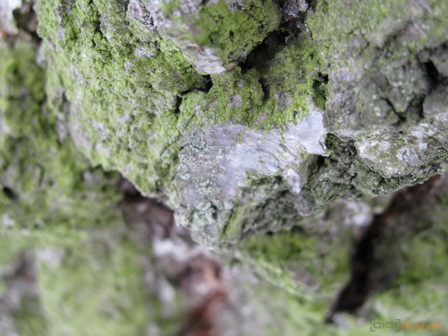 Canon PowerShot SX120 IS: zraje jako víno