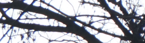 Sony FE 28-70mm F3.5-5.6 OSS (SEL2870)