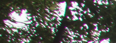 Tamron 16-300mm f/3.5-6.3 Di II VC PZD Macro