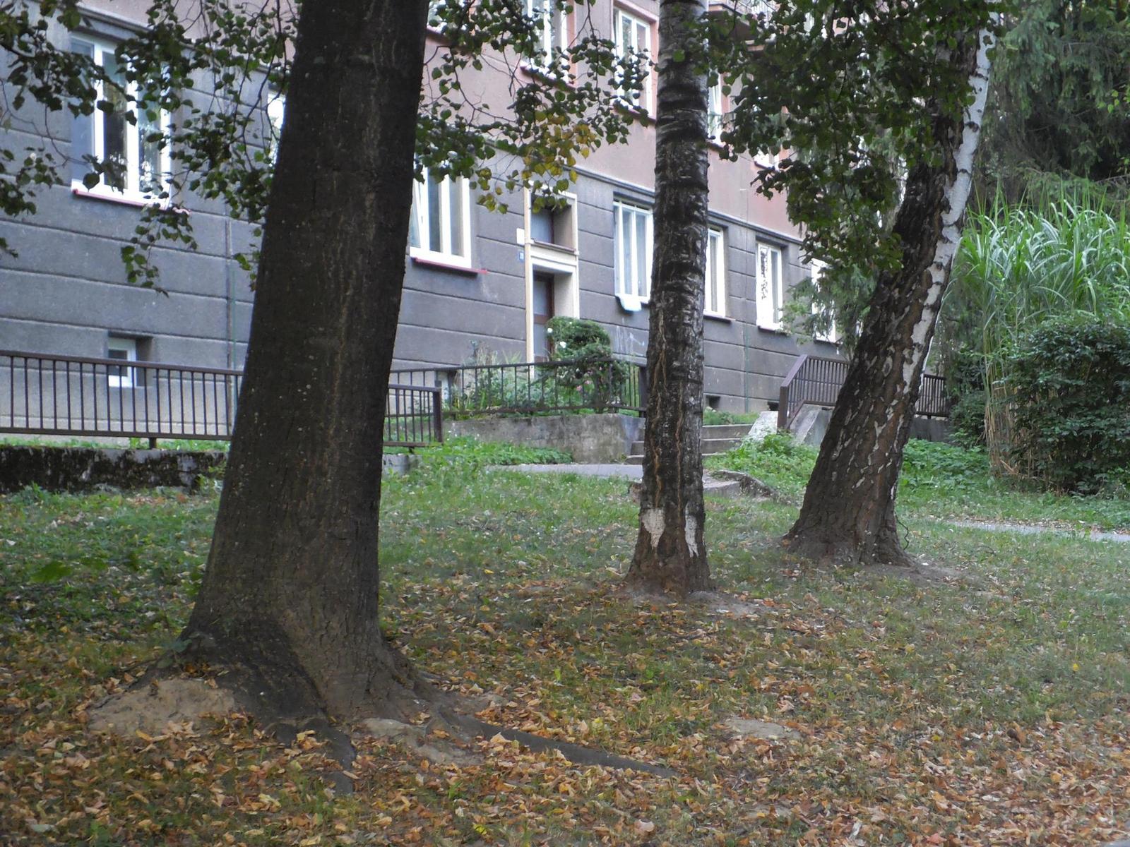 BenQ G1: levný kompakt pro hračičky?