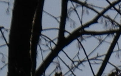 Samsung 18-200mm F3.5-6.3 ED OIS