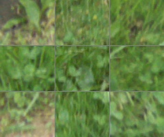 Panasonic Lumix G Vario 100-300mm F4-5,6