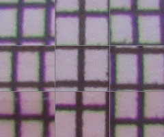 Canon PowerShot SX120 IS: zraje jako víno