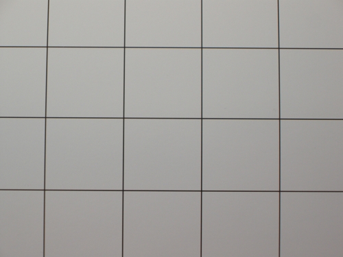 Nikon Coolpix P5100: trpělivý profesionál