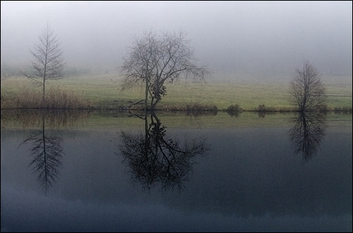 Fotograf tichým bláznem