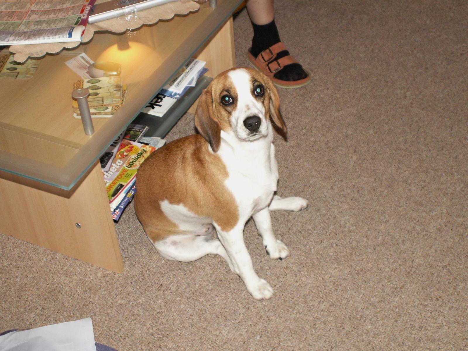 Zetko už se šesti miliony