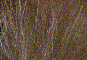 Olympus PEN E-PL5: s výkonnějším srdcem