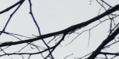 Canon PowerShot G15: lépe už to (asi) nepůjde