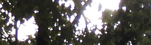 Nikon Coolpix B700: přírodovědec