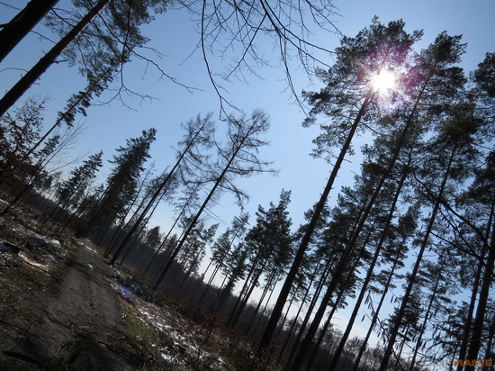 Canon PowerShot SX50 HS: překvapivá kombinace