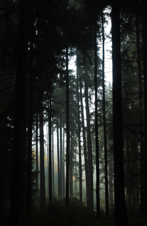 Podzimní kýčovka nadšeného fotografa. Třetí.