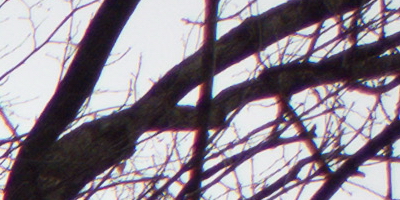 Samsung EX2F: významný krok vpřed