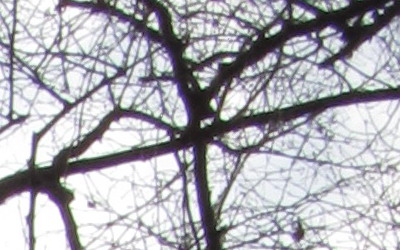 Canon PowerShot SX130 IS: levný všeuměl