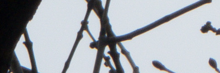 Panasonic Lumix TZ70: krůček k profi ultrazoomu