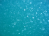 Modrý vesmír - tipy pro fotografování