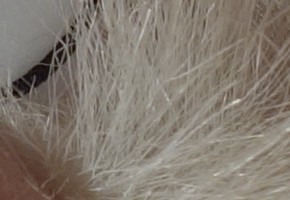 Sony Cyber-shot RX100: terminátor zrcadlovek