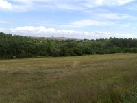 Acer CP-8660: zajímavý rebrand