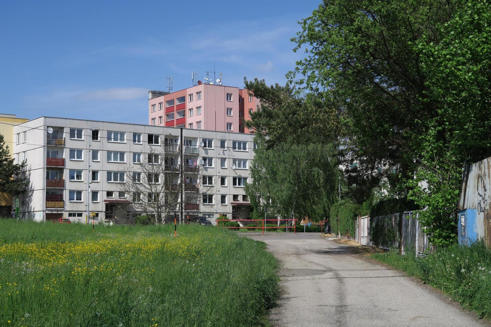 Canon PowerShot G5 X: vyspělejší brácha