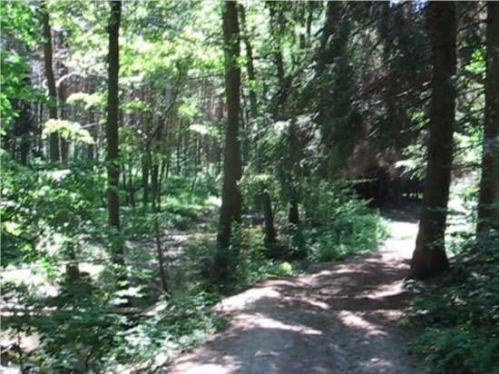 Canon PowerShot A540: Stříbrný šikula