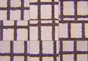 Nikon Coolpix A900: 4K do kapsy