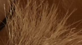 Nikon D7200: přesvědčivé zrcadlo