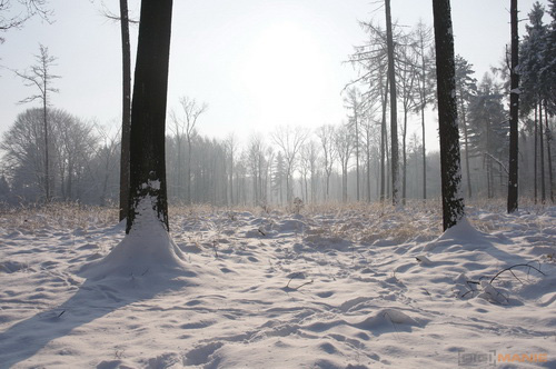 Samsung NX100: "zrcadlovka" do kapsy